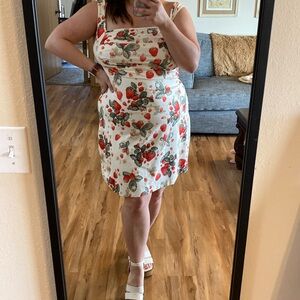 Cider / 1XL / Strawberry Dress